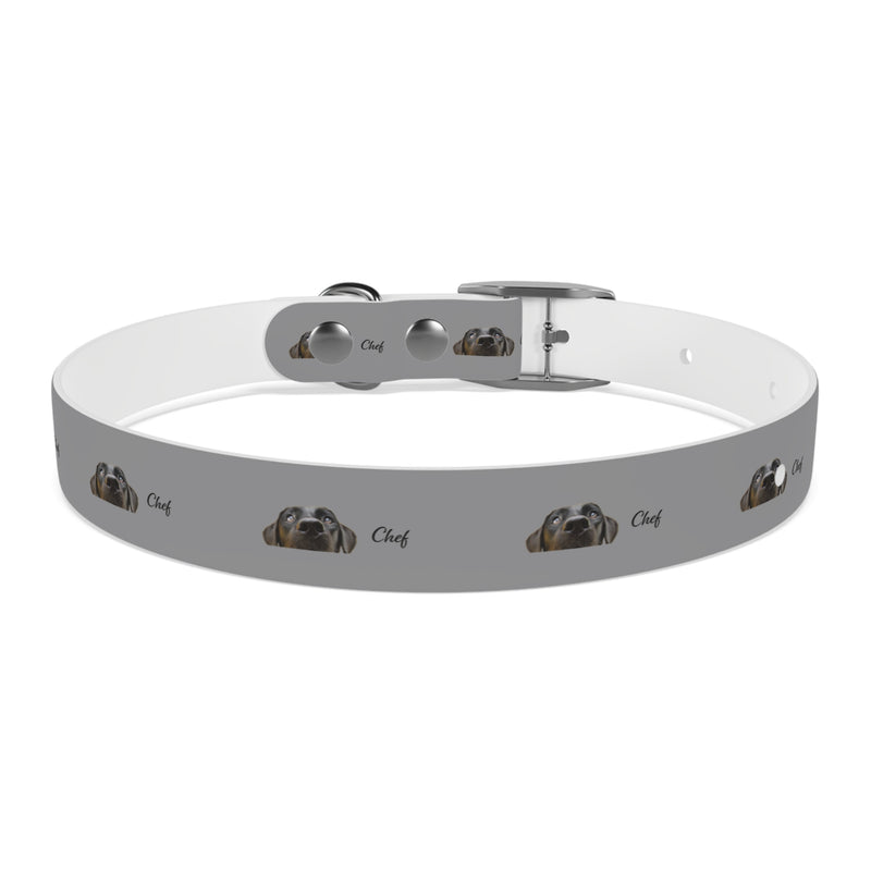 Chef Dog Collar