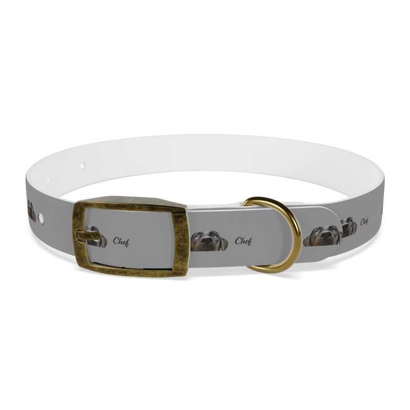 Chef Dog Collar