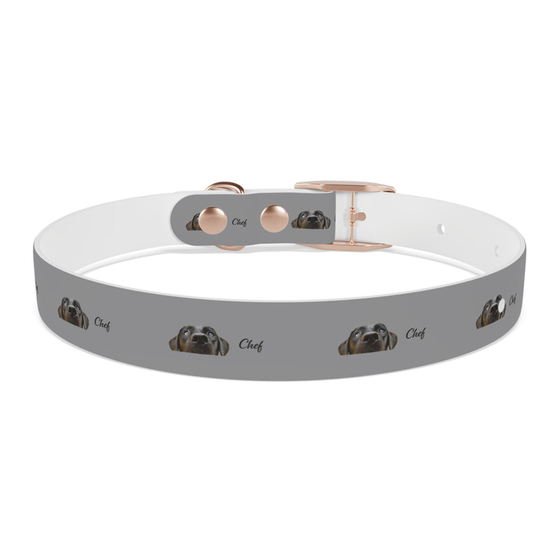 Chef Dog Collar