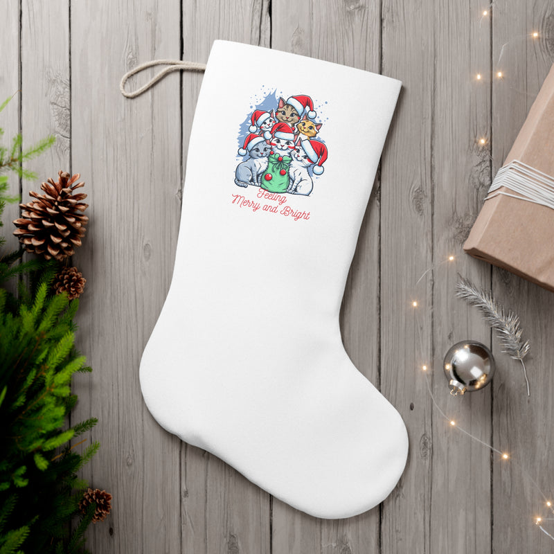 Santa's Stocking