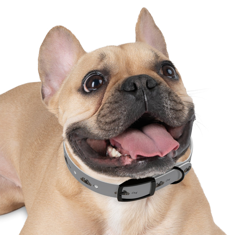 Chef Dog Collar