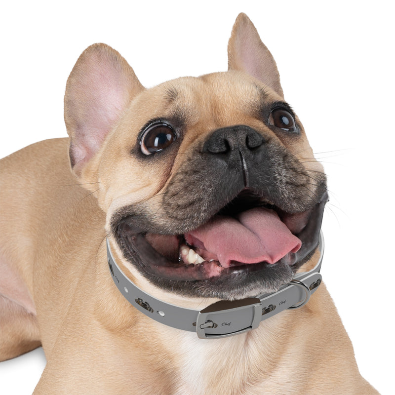 Chef Dog Collar