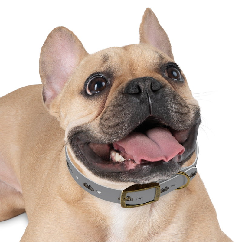 Chef Dog Collar