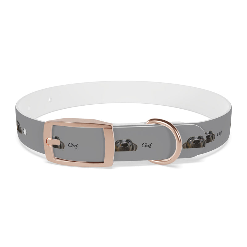 Chef Dog Collar