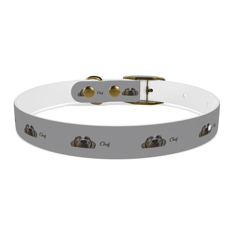 Chef Dog Collar