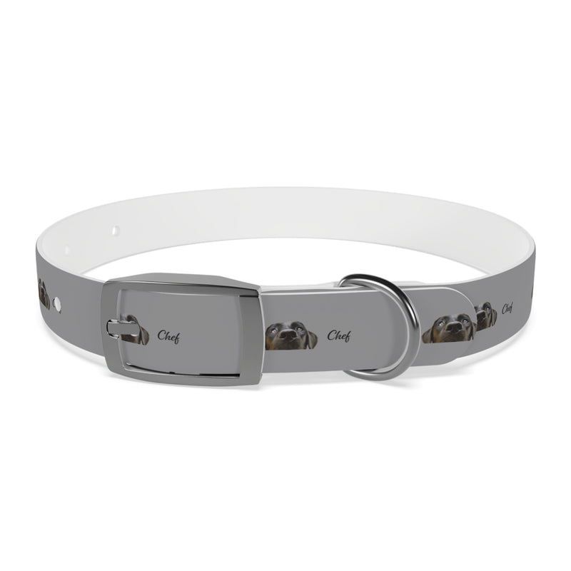 Chef Dog Collar