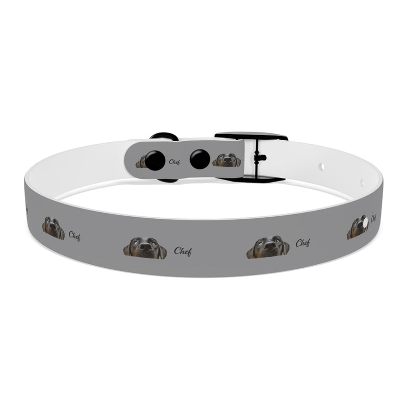 Chef Dog Collar