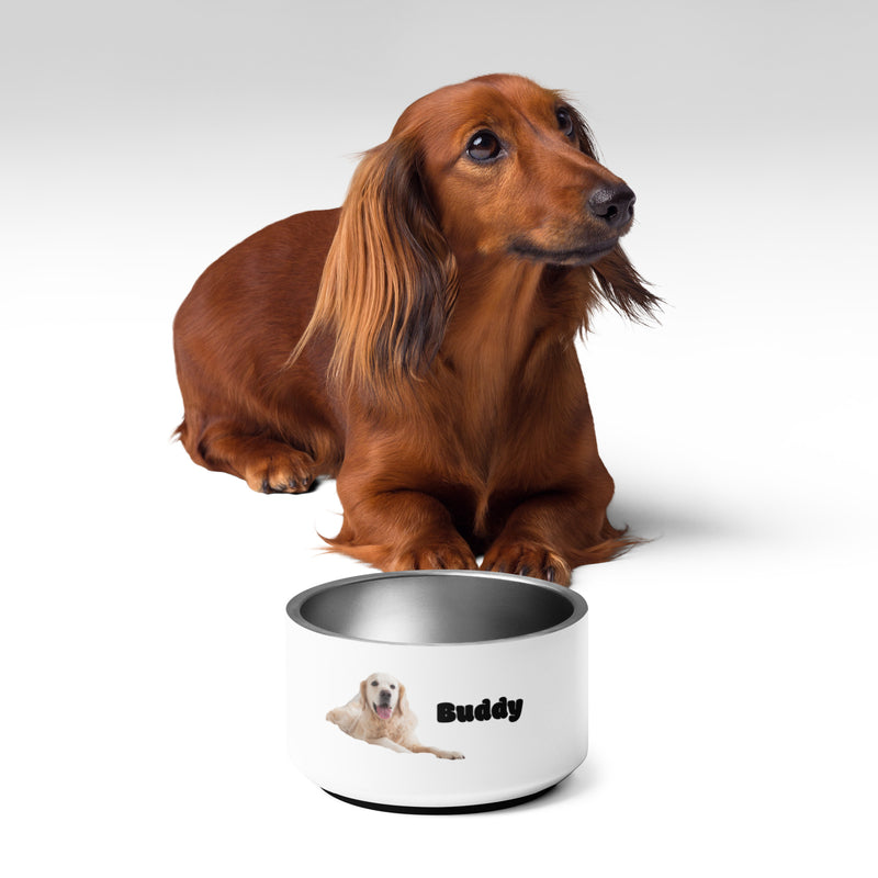 Buddy Pet bowl