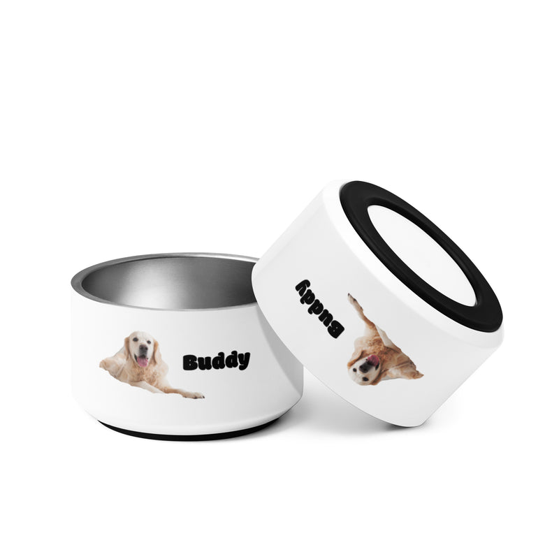 Buddy themed Pet bowl