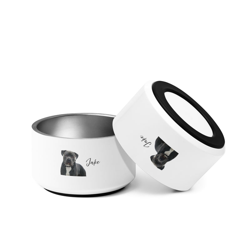 Black Jake Pet bowl