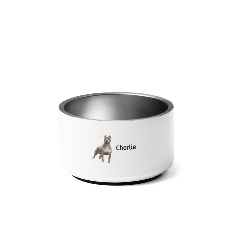 Charlie's Pet bowl