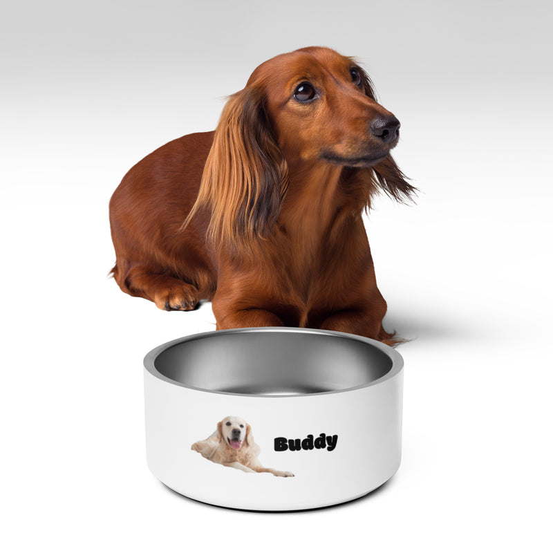 Buddy Pet bowl