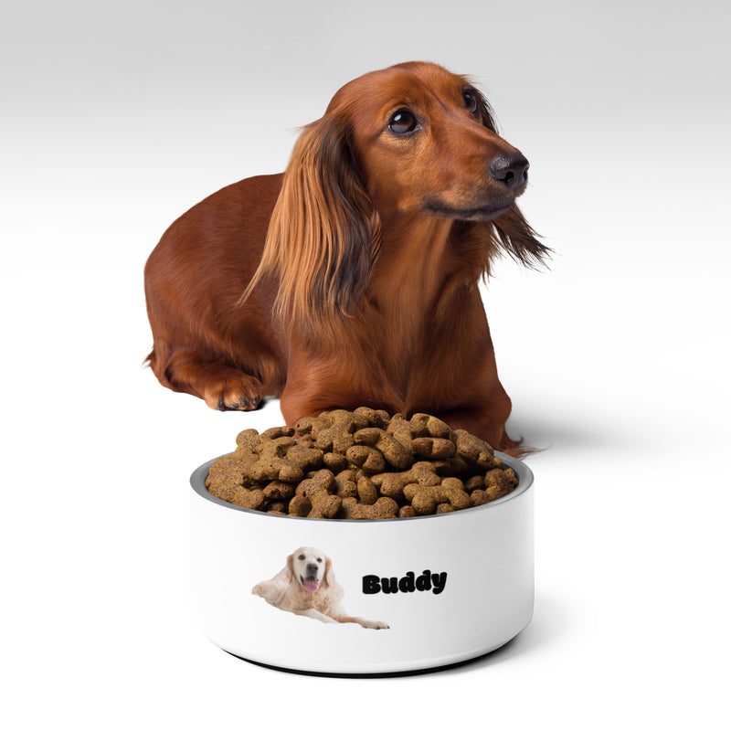 Buddy Pet bowl