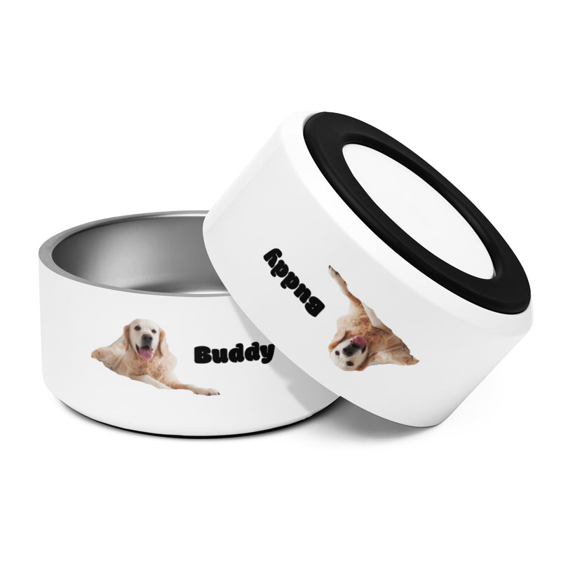 Buddy themed Pet bowl