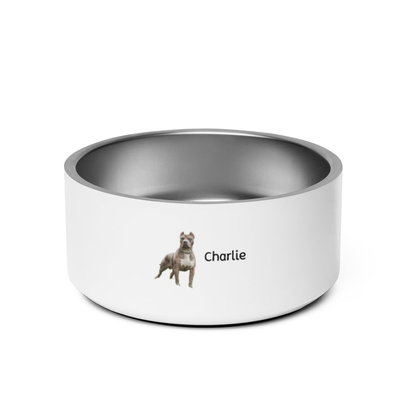 Charlie's Pet bowl