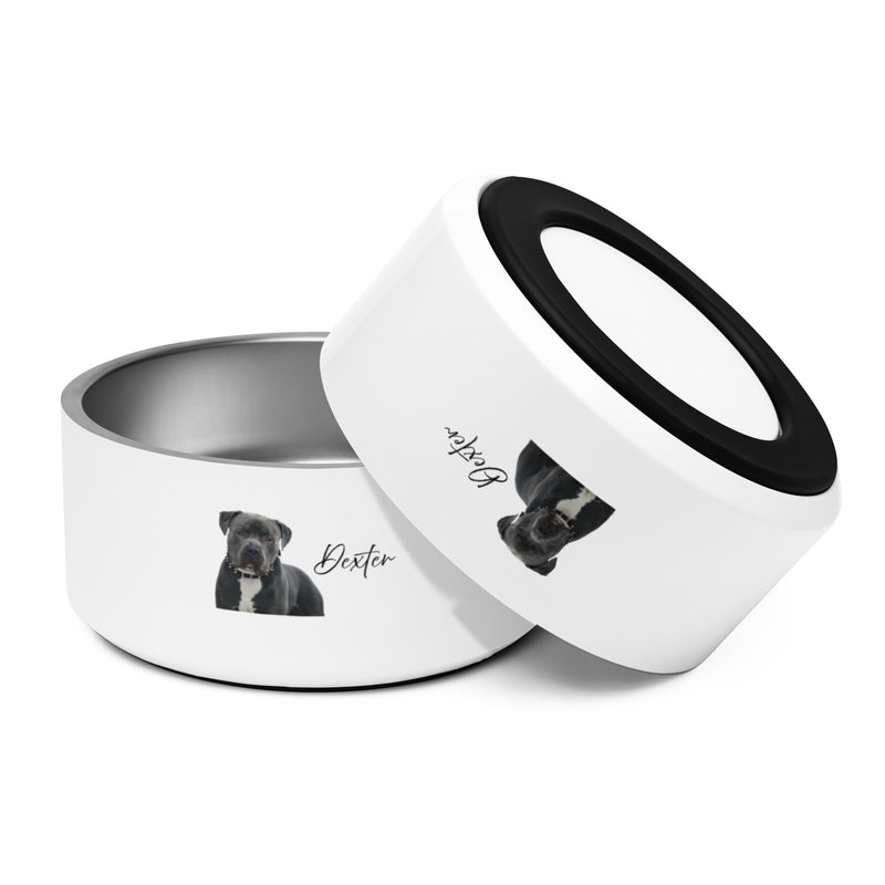 Black Dexter's Pet bowl